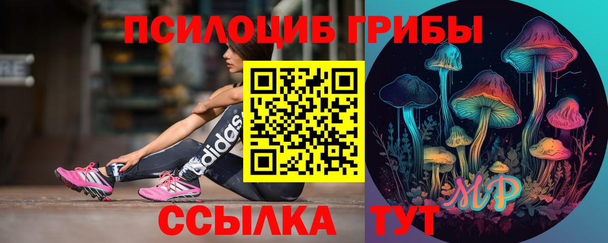 Галлюциногенные грибы MAGIC MUSHROOMS  Вход с VPN  Гуково 